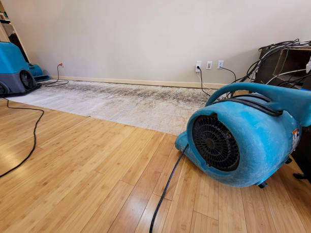 Professional Burst Pipe Water Damage technician working in Greenfield, CA